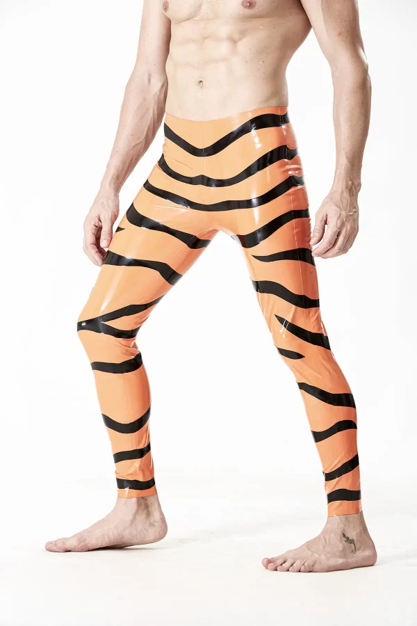 Riteoga le patrún Tíogair LaTeX