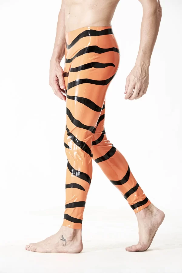 Riteoga le patrún Tíogair LaTeX