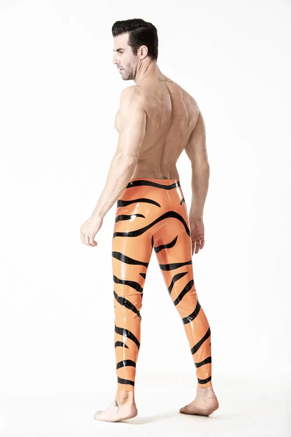 Riteoga le patrún Tíogair LaTeX