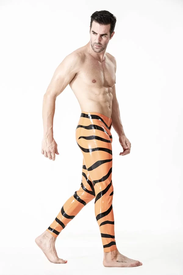 Riteoga le patrún Tíogair LaTeX