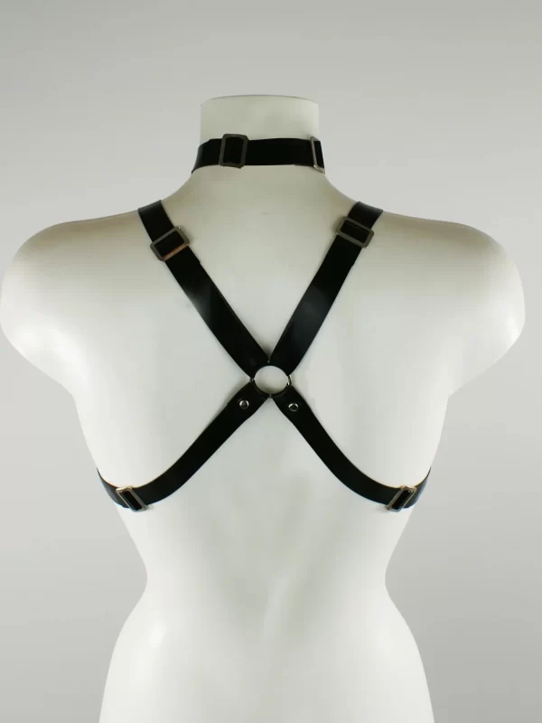 Latex Hexagram Harness