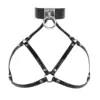Latex Lydia harness